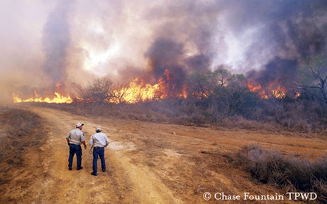 Chaparral Fire