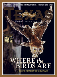 May 2009 cover image eastern screech-owl