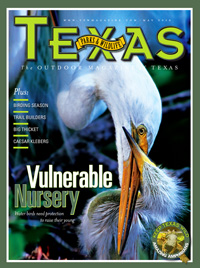 May 2010 cover image 12 Vulnerable Nursery