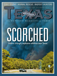 Dec 2011 cover image