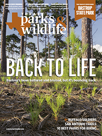 August/September cover image