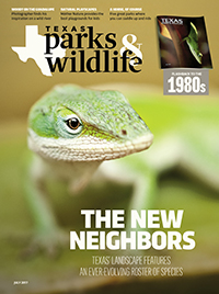 July cover image