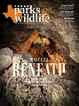 December cover image