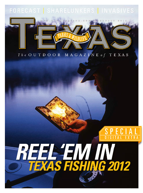 fishing cover image