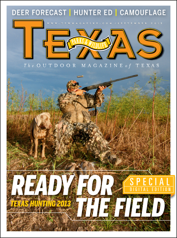 hunting cover image