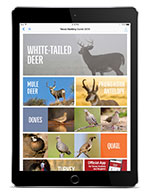 hunting cover image