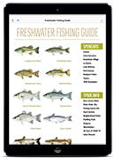 fishing cover image